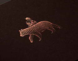 Валютный рынок, Daily history за 14 января 2026 г.