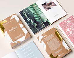 Пападакис об отстранении от работы на NBC: «Они посчитали, что мое восприятие нейтральности было скомпрометировано»