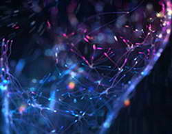 Сильные данные поддерживают дальнейший рост фунта