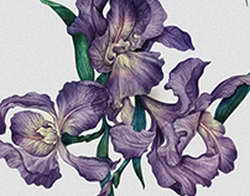 Экономический диктант при поддержке Фонда Юрия Лужкова привлекает сотни тысяч участников