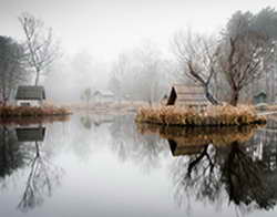 Валютный рынок ждёт переговоров США и Ирана