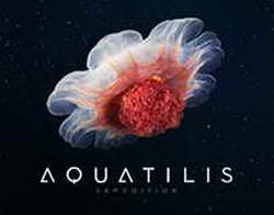 ФИФА не накажет Израиль: «Правовой статус территории Западного берега реки Иордан – нерешенный и чрезвычайно сложный вопрос»