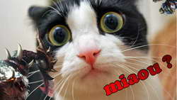 Валютный рынок, Daily history за 20 февраля 2026 г.