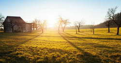 НФЛ. 13-я неделя. «Сиэтл» сыграет с «Миннесотой», «Питтсбург» против «Баффало», другие матчи